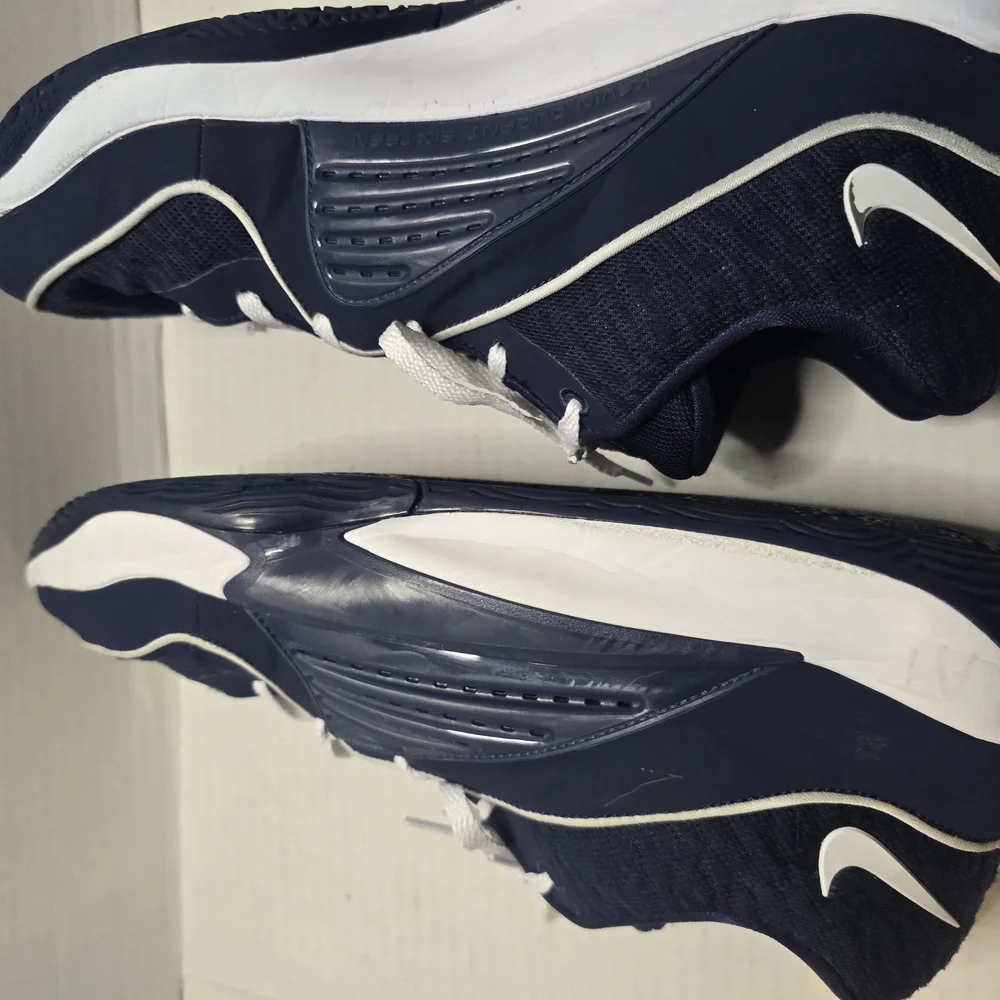Nike Blue and White Athletic Shoes with‎ Streamlined Design